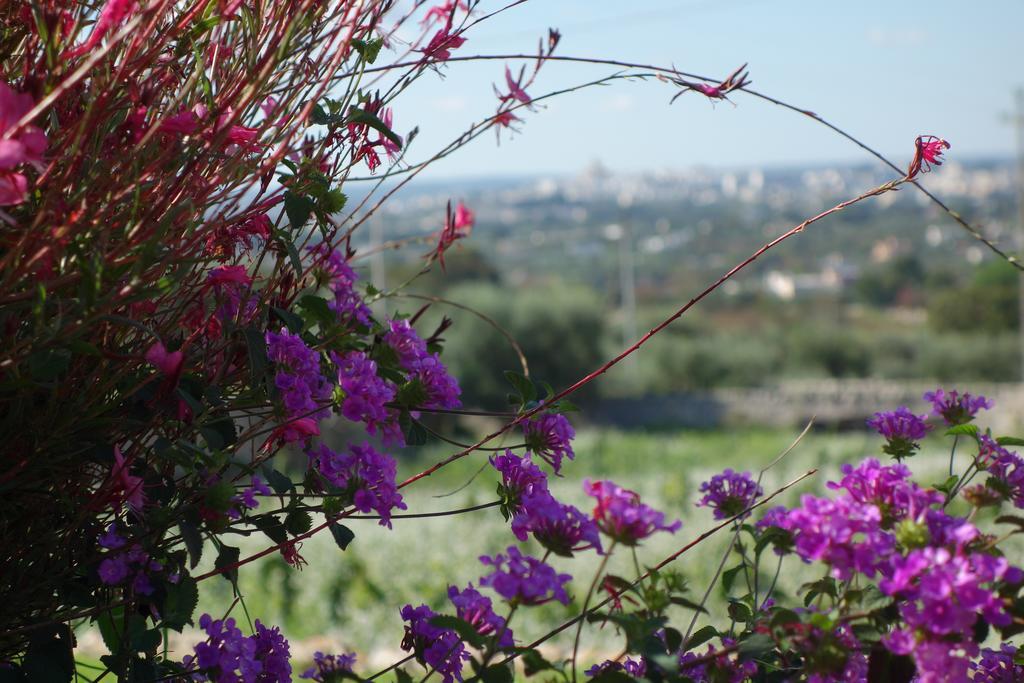 Masseria Serralta Locorotondo Exteriör bild